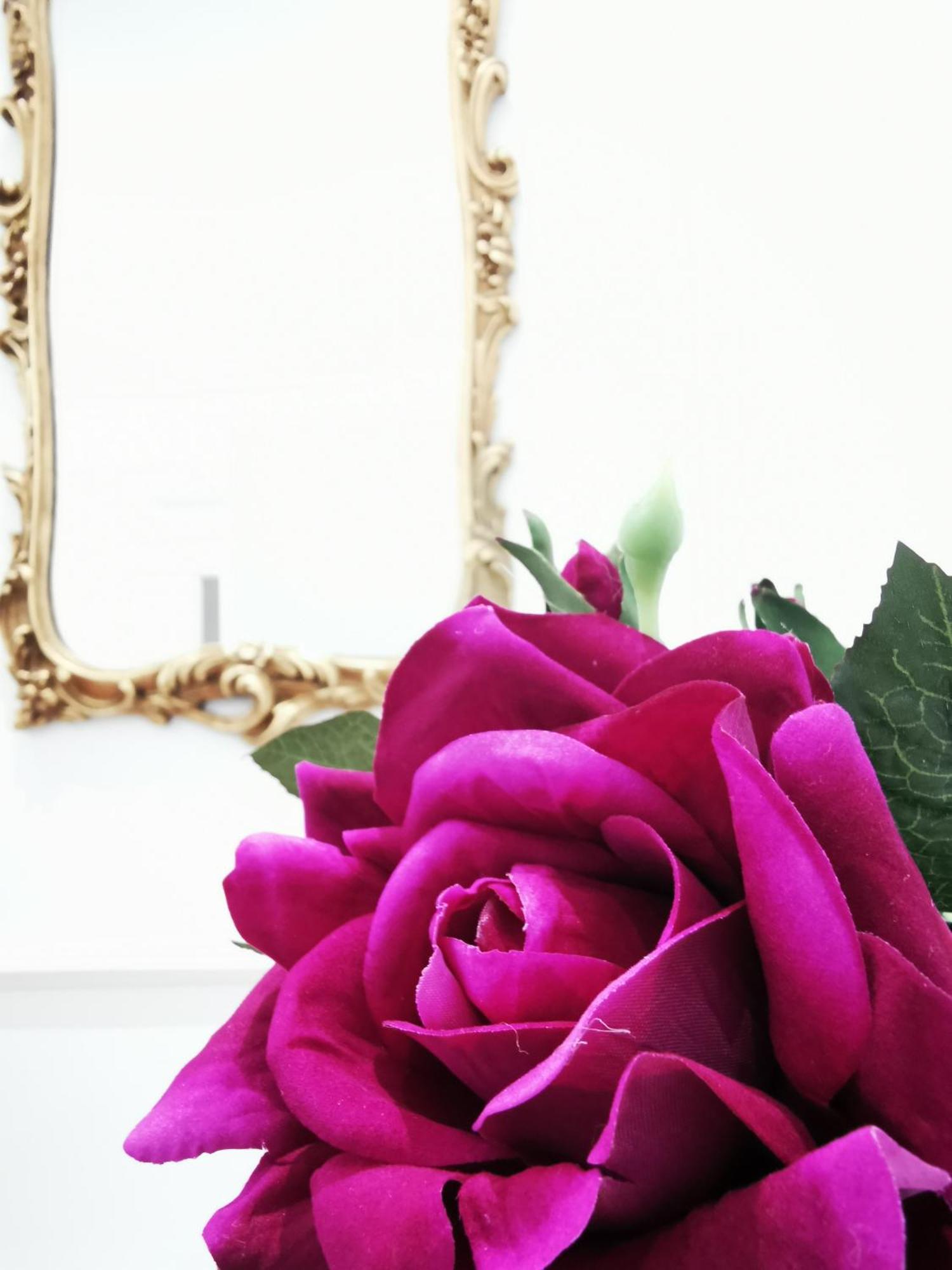 Rua Suites Boutique ซาลามังกา ห้อง รูปภาพ